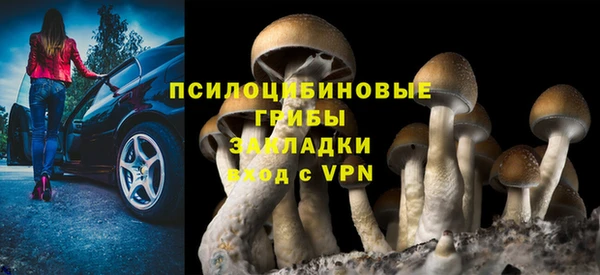 spice Заволжье