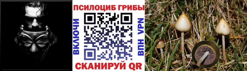 Галлюциногенные грибы мухоморы  Купить закладки  Щёкино 